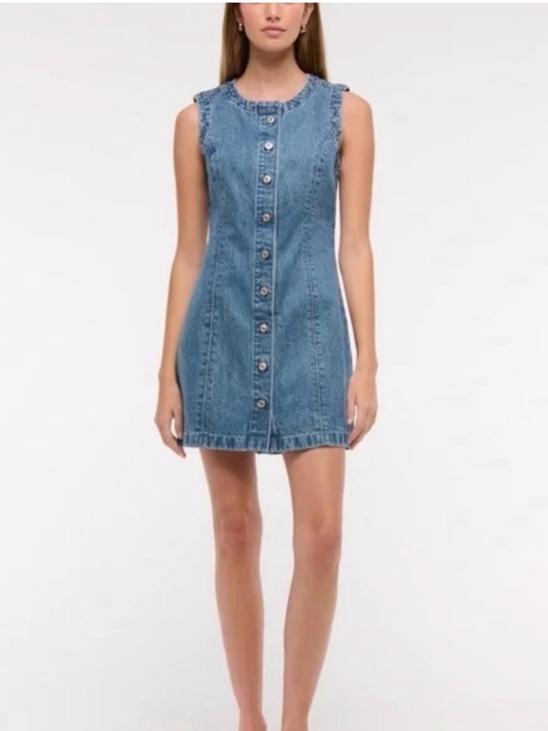 Abercrombie & Fitch Sleeveless Button-Front Denim Mini Dress -